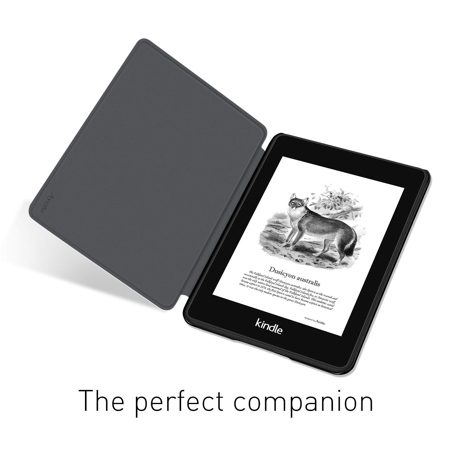 Kindle Paperwhite 5/6/7th 스마트  - Cheap Tablet Accessories 리뷰 및 가격